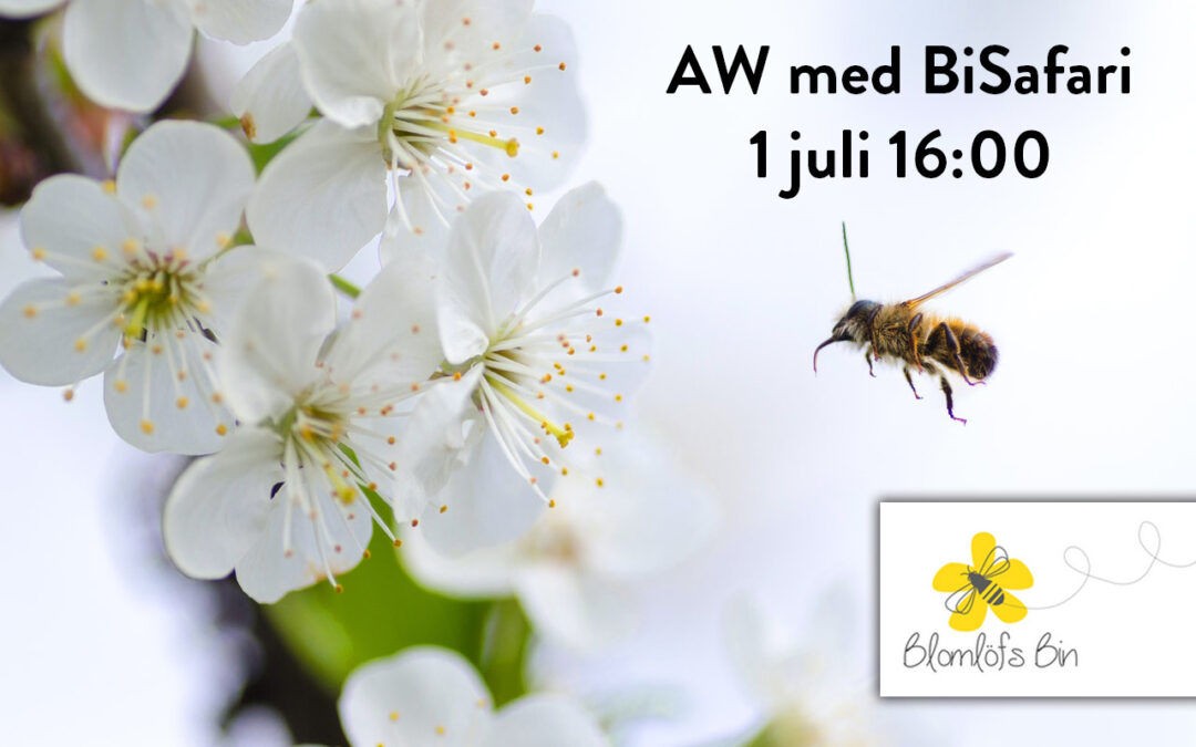 1 juli – AW med BiSafari